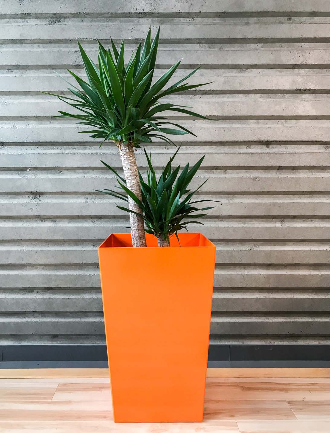 tapered planters