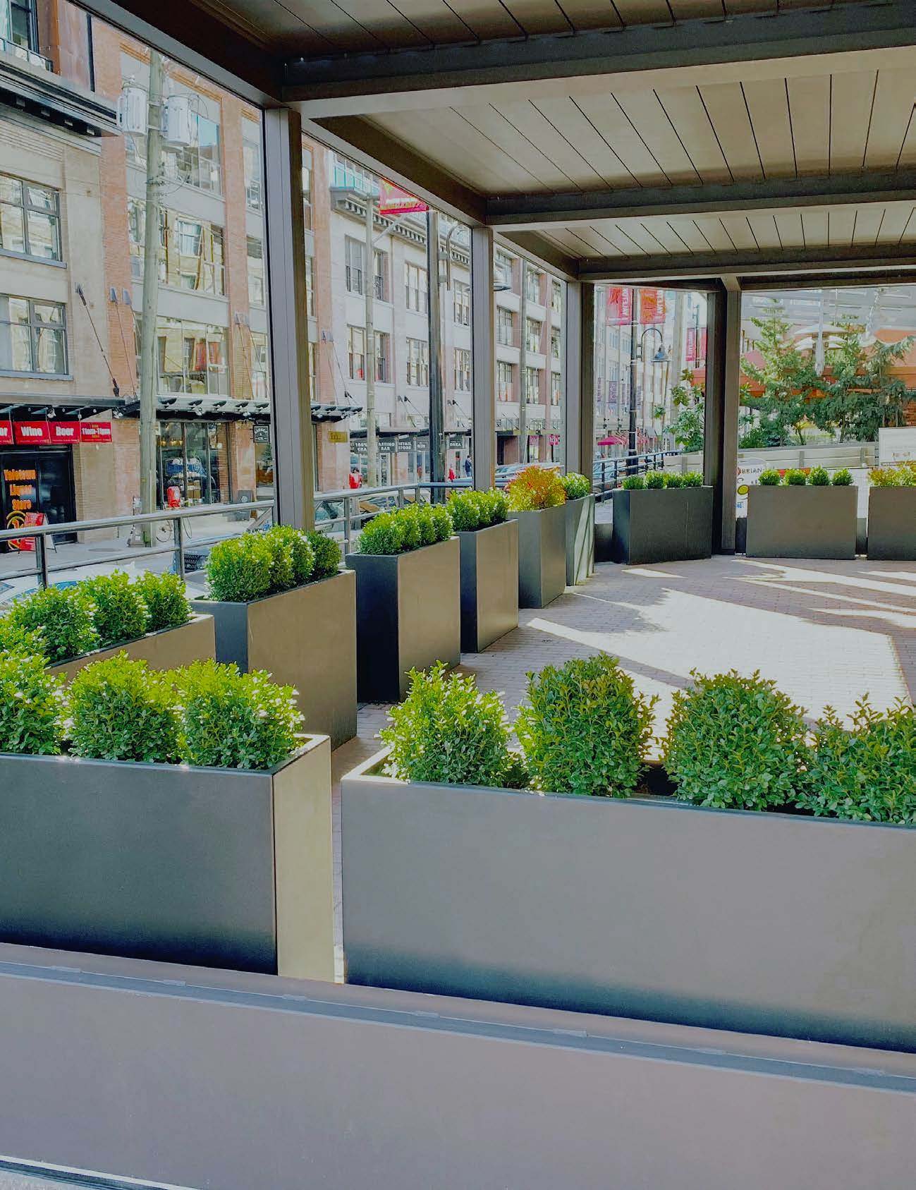 c3 planters in a mall